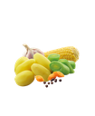 products/PQO5B1_QSWMgFO.png