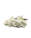 products/PQO5B6_oaiSoSO.png